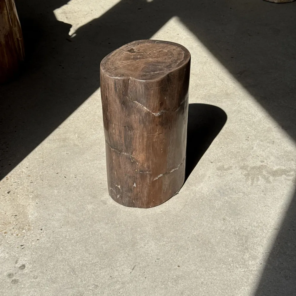 Coffee tables - Brown petrified wood side table H46 D29 - 3338 - OFFICE OBJETS