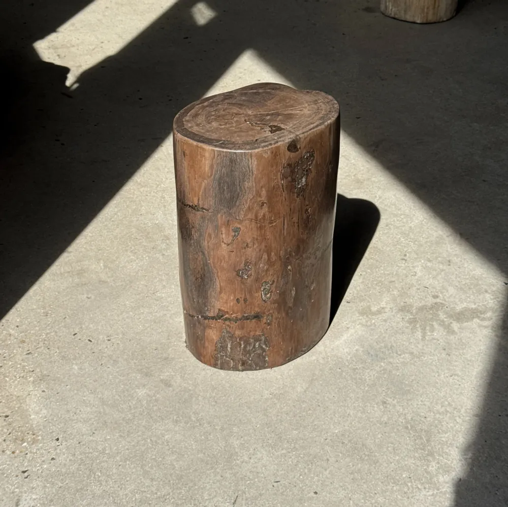 Coffee tables - Brown petrified wood side table H46 D29 - 3338 - OFFICE OBJETS