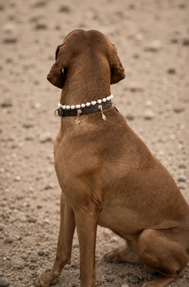 Accessoires animaux - Balance Dog Necklace - UNLEASH CPH