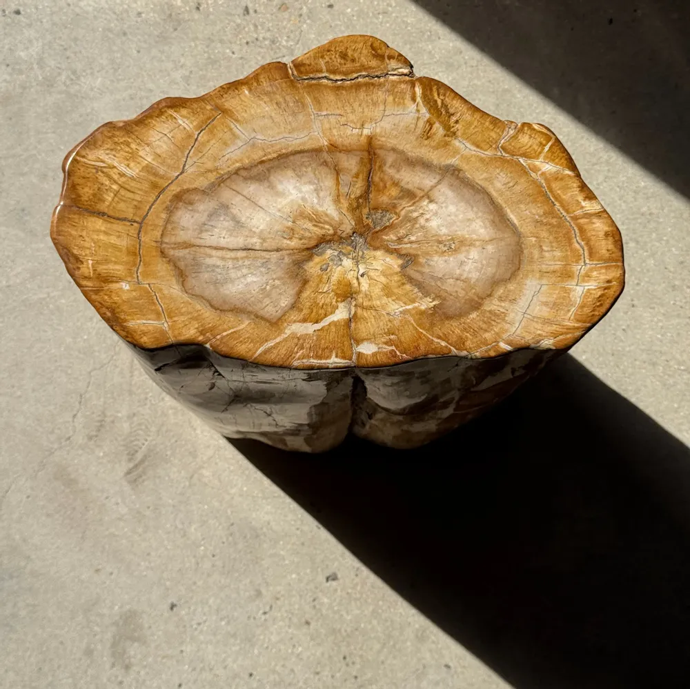 Tabourets - Table d'appoint en bois pétrifié orange doré et blanche ovale H46 D38 - OFFICE OBJETS