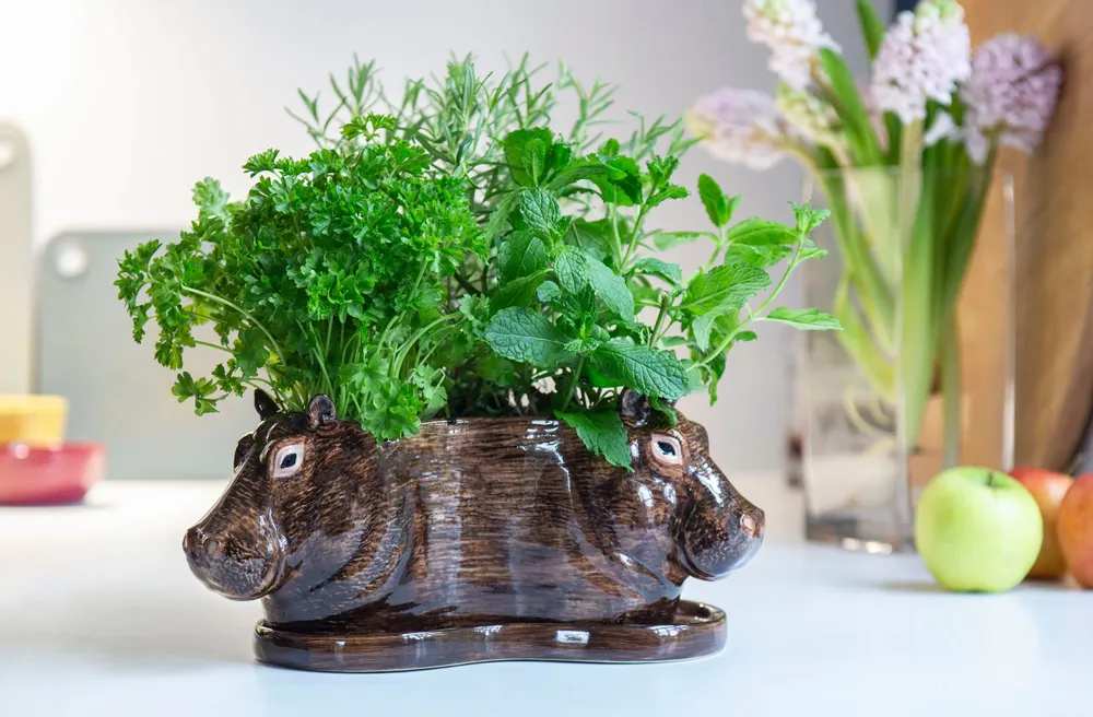 Food storage - Tri Planter - QUAIL DESIGNS EUROPE BV