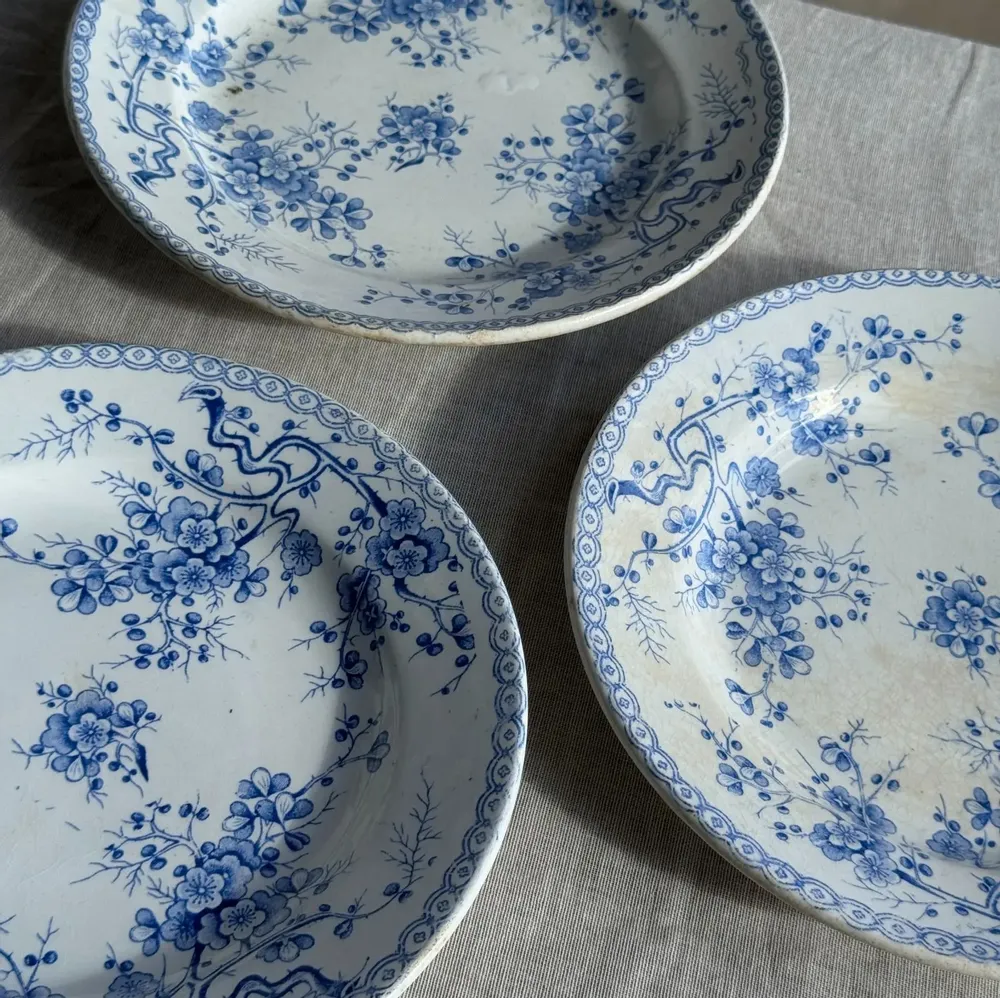 Everyday plates - Set of 3 blue earthenware plates from Gien Model Fleurette D22.5 - OFFICE OBJETS