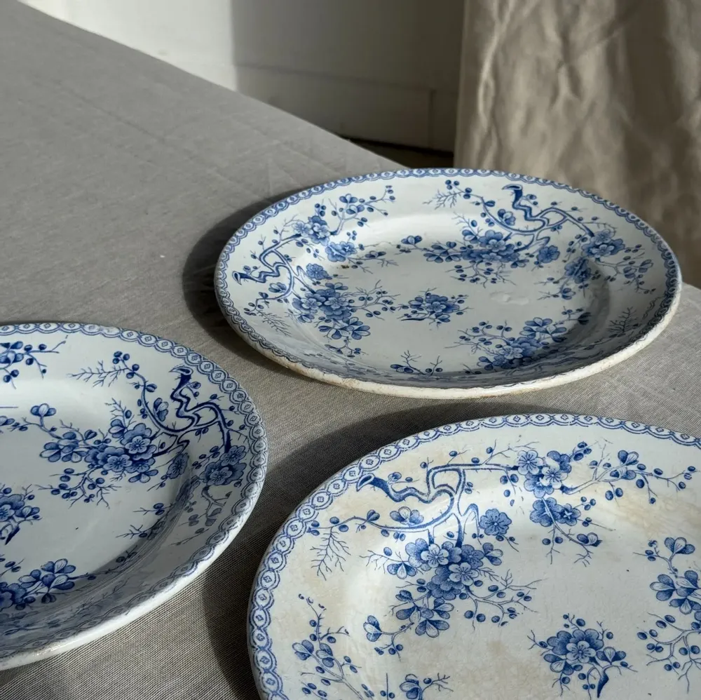 Everyday plates - Set of 3 blue earthenware plates from Gien Model Fleurette D22.5 - OFFICE OBJETS