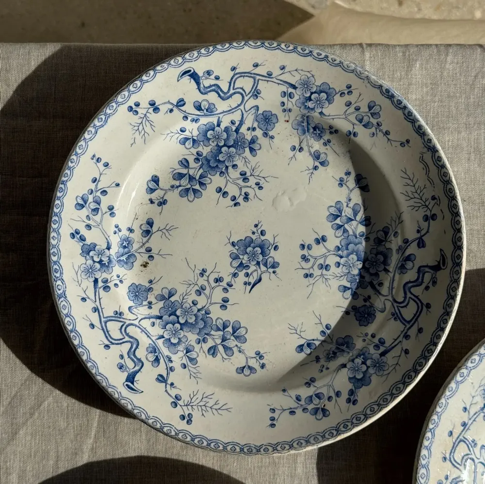 Everyday plates - Set of 3 blue earthenware plates from Gien Model Fleurette D22.5 - OFFICE OBJETS