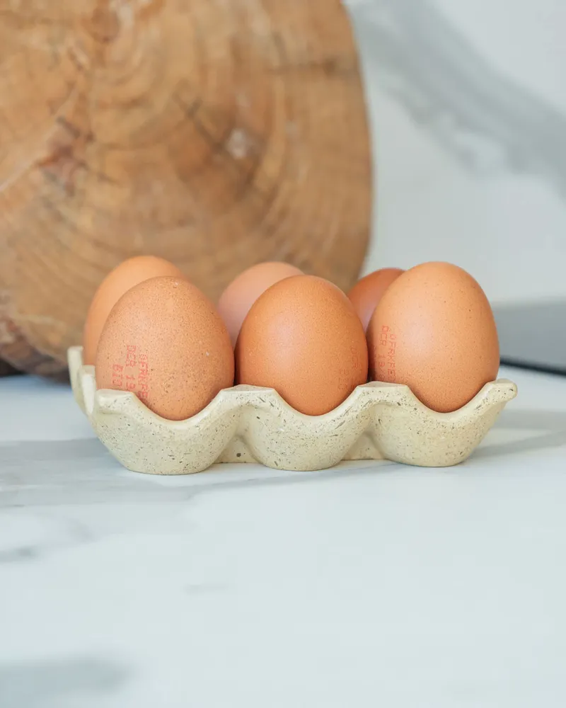 Food storage - Célestin egg box - ERBEKO