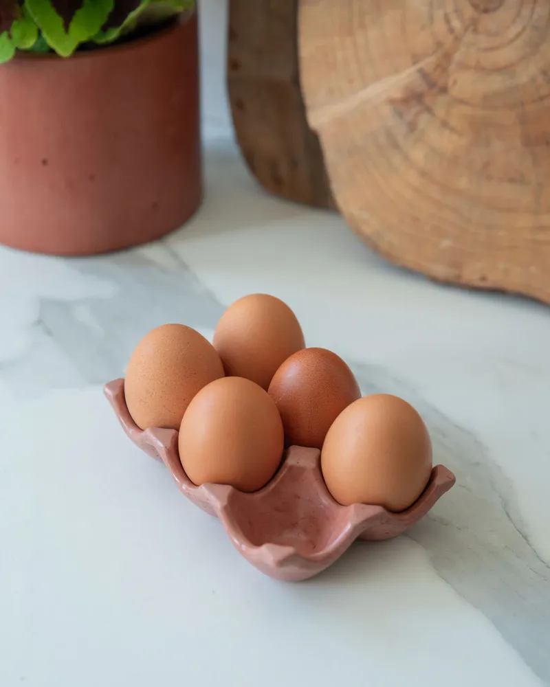 Food storage - Célestin egg box - ERBEKO