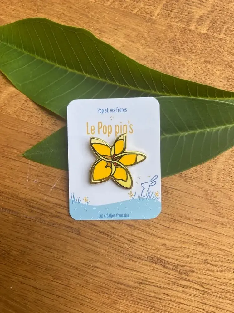 Brooches - Pins La fleur de frangipanier - POP ET SES FRÈRES
