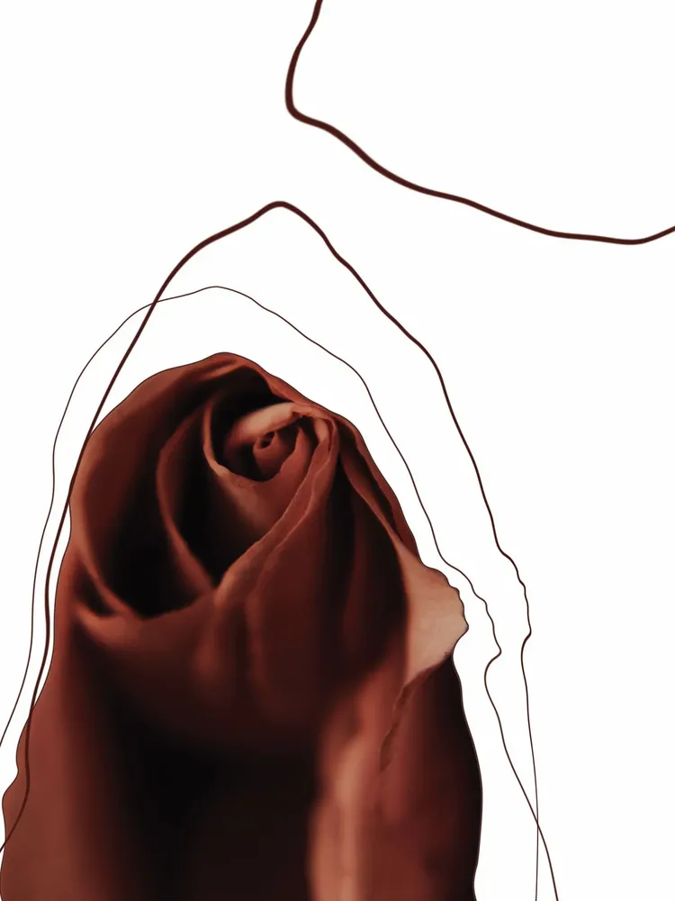 Parfums pour soi et eaux de toilette - Graphic observation 1 - BELLA PARI