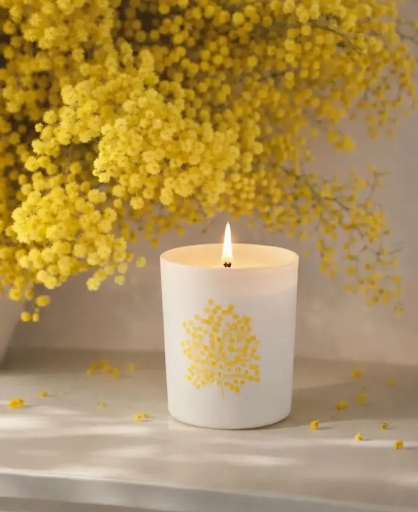 Candles - Candle\" Under the Mimosa\ " - HAUTS LES RÊVES