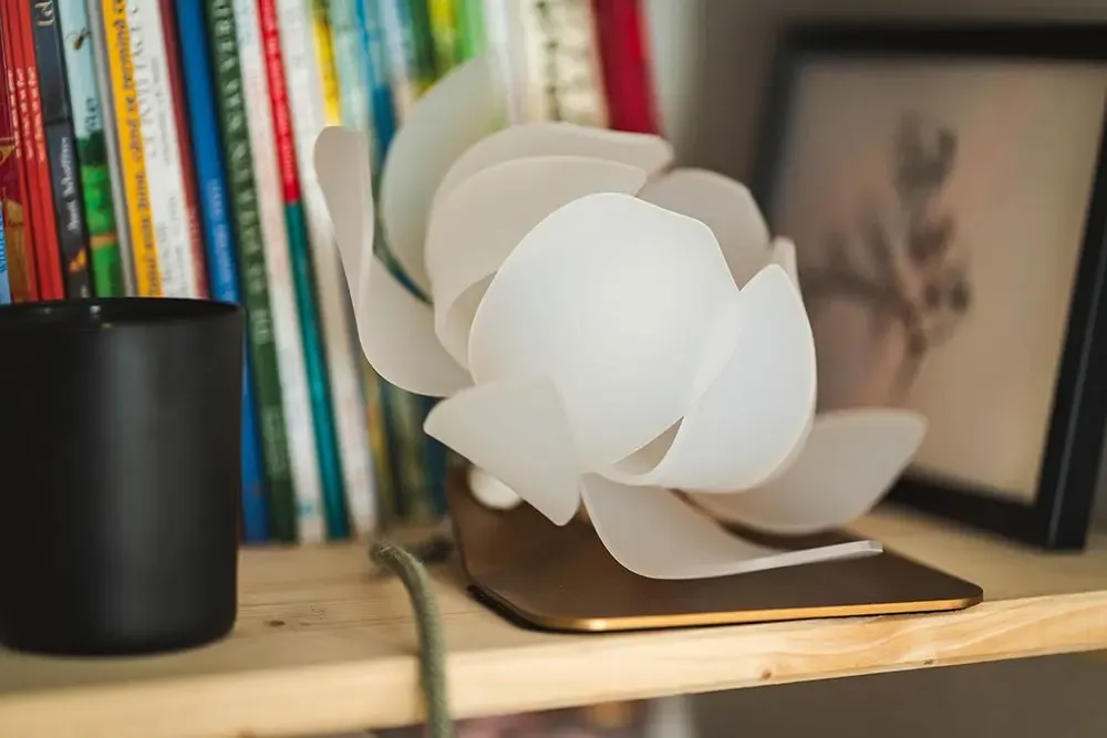Table lamps - Lotus table lamp - ANCA FETCU STUDIO
