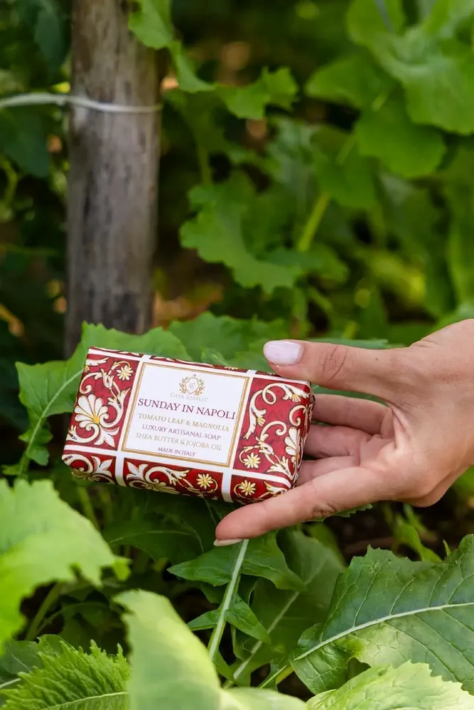 Parfums pour soi et eaux de toilette - SUNDAY IN NAPOLI SAVON POUR LE CORPS - Feuille de Tomate & Magnolia 150g - CASA AMALFI