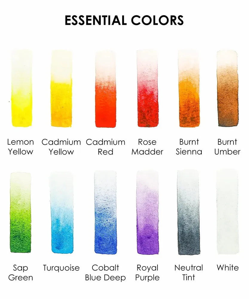 Papeterie bureau - Ensemble de 12 aquarelles de poche avec pinceau - Couleurs essentielle - GRABIE