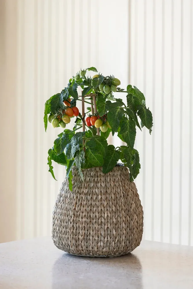 Objets de décoration - Basket Sidi - GOMMAIRE