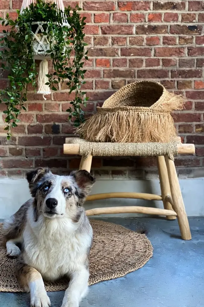 Stools - The Porto Seagrass Stool - Natural - M - BAZAR BIZAR LIVING