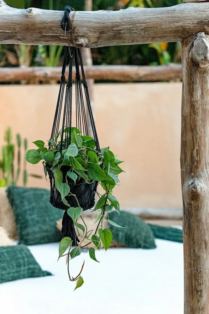 Decorative objects - The Macrame Plant Holder - Black - S - BAZAR BIZAR LIVING