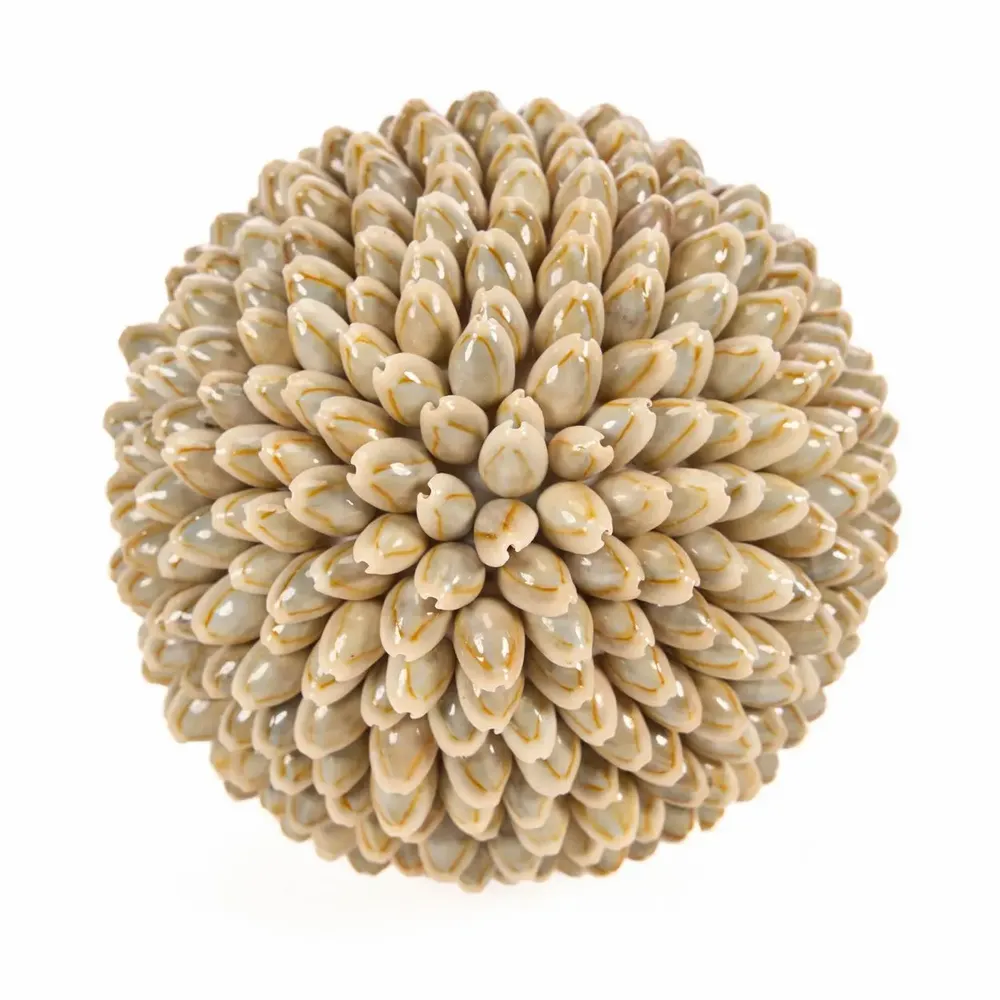 Objets de décoration - La Oluolu Shell Balle - L - BAZAR BIZAR LIVING