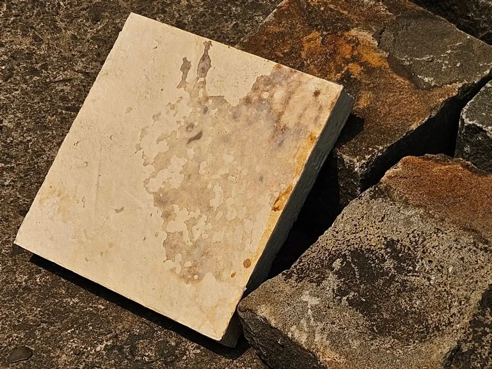 Autres décorations murales - Les MUSH Bio-Lithic™ Surfaces - MUSH COMPOSITES