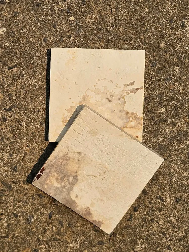 Autres décorations murales - Les MUSH Bio-Lithic™ Surfaces - MUSH COMPOSITES