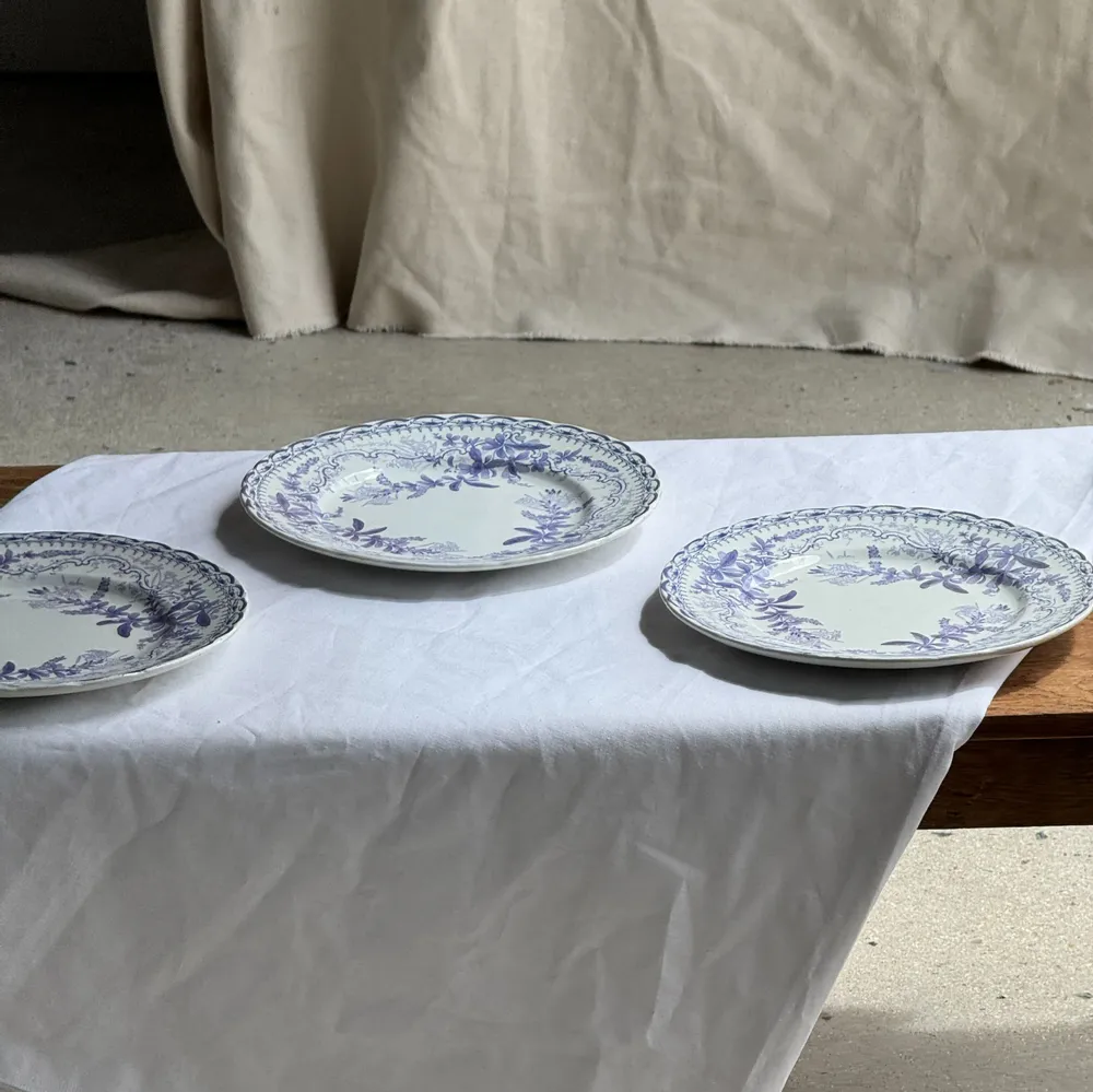 Assiettes au quotidien - Lot de 5 assiettes plates en faïence à décor floral couleur lavande - OFFICE OBJETS