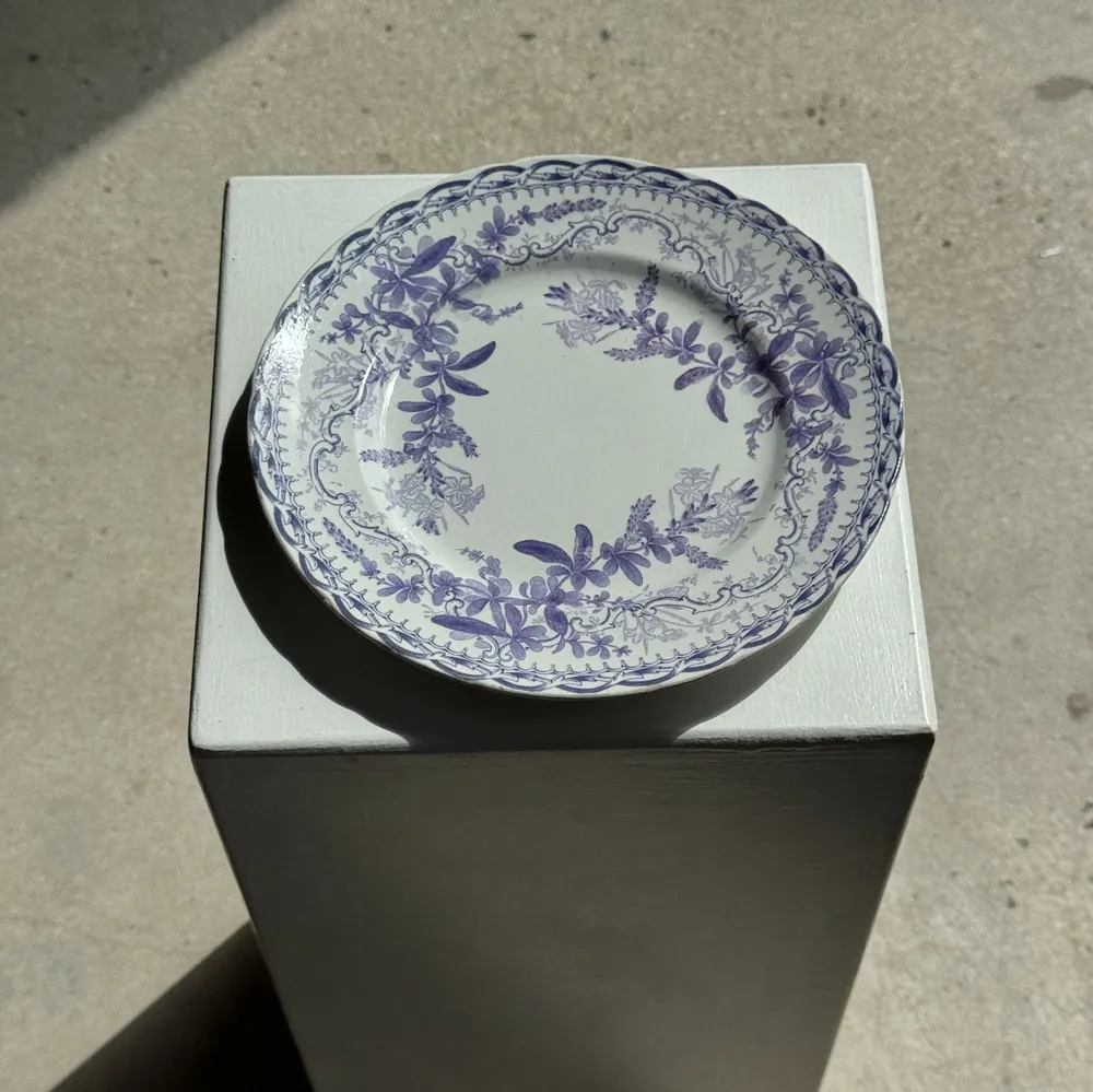 Assiettes au quotidien - Lot de 5 assiettes plates en faïence à décor floral couleur lavande - OFFICE OBJETS