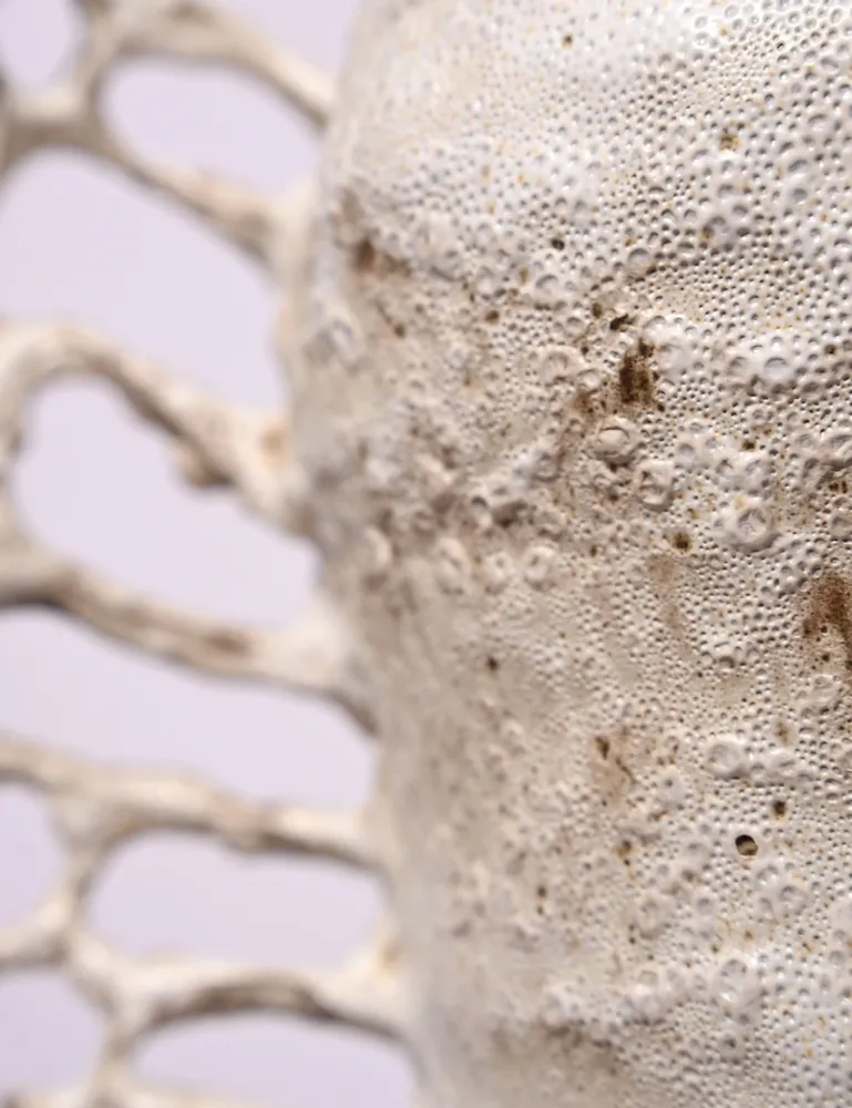 Design objects - Mycelium Running - KARLIEN VAN ROOYEN