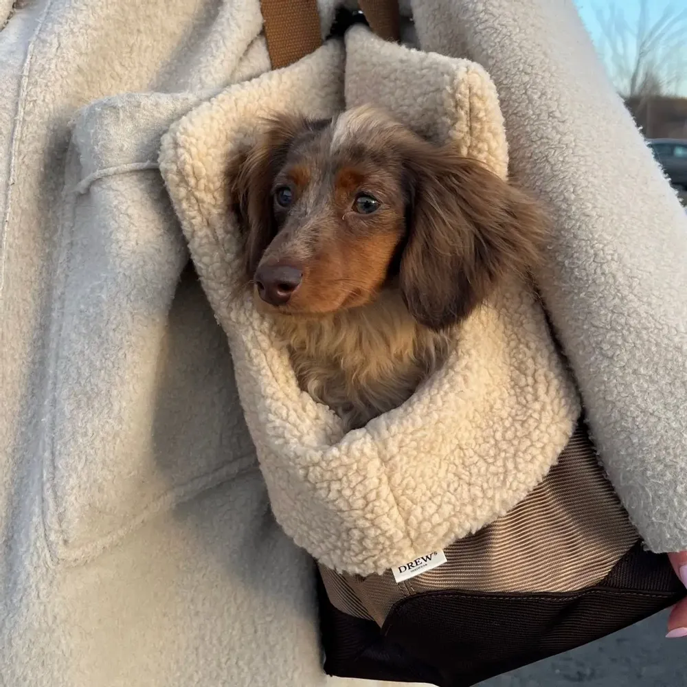Accessoires animaux - Sac pour chien avec doublure en peluche/Aspen - DREW'S DOGWEAR
