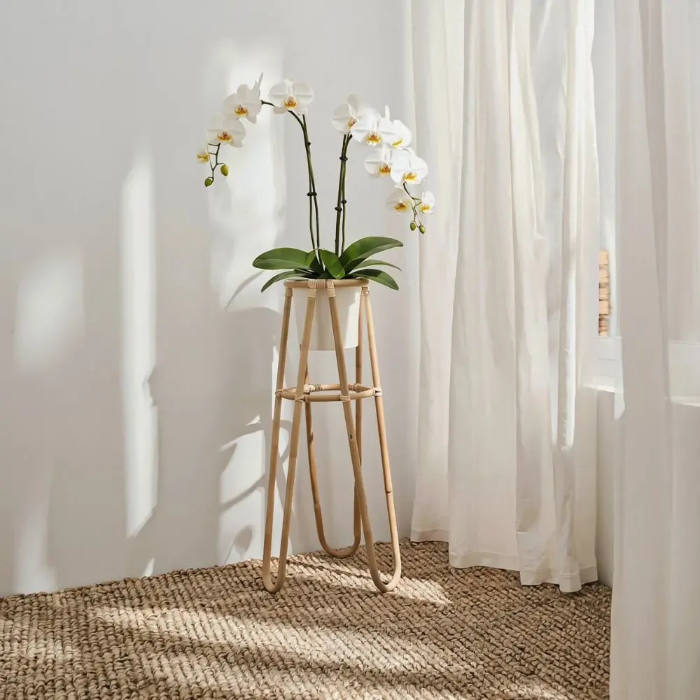 Décorations florales - Support à plantes en rotin naturel Tige - LO-FI HOUSE