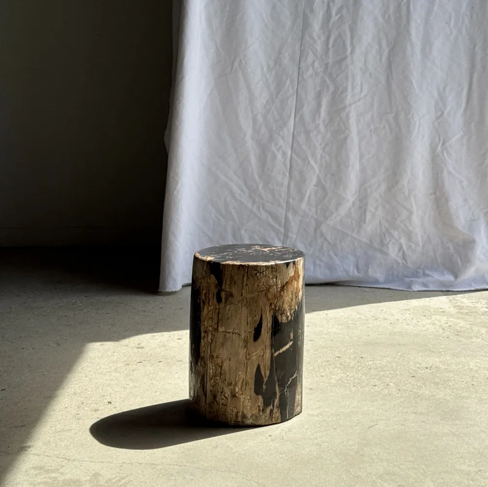 Stools - Black petrified wood side table beige side H35 D24 - 3352 - OFFICE OBJETS