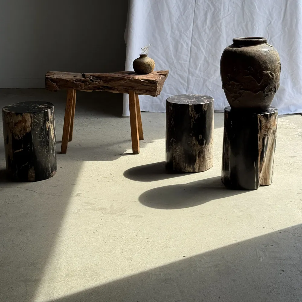 Stools - Black petrified wood side table beige side H35 D24 - 3352 - OFFICE OBJETS