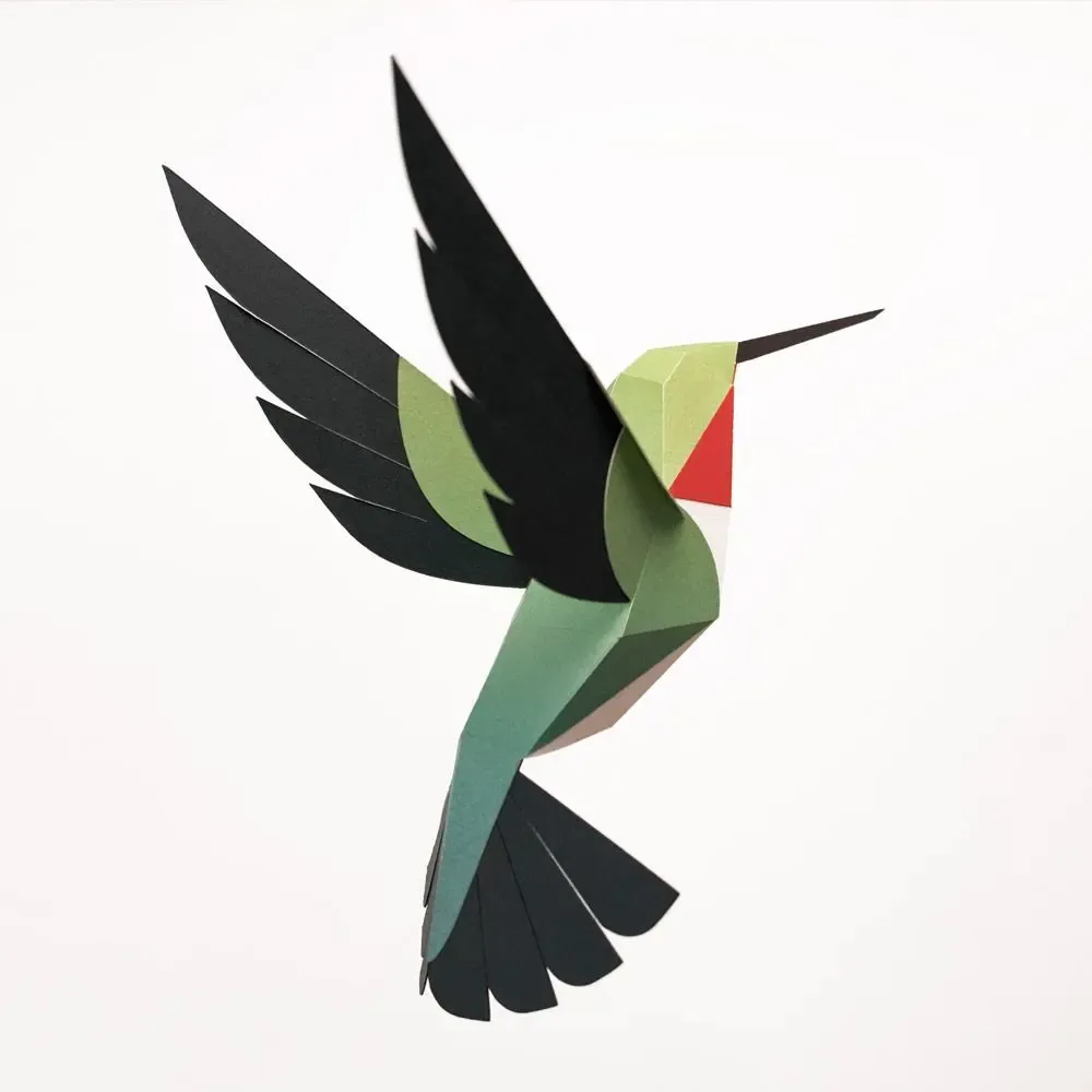 Design objects - Selasphorus Platycercus - PLEGO