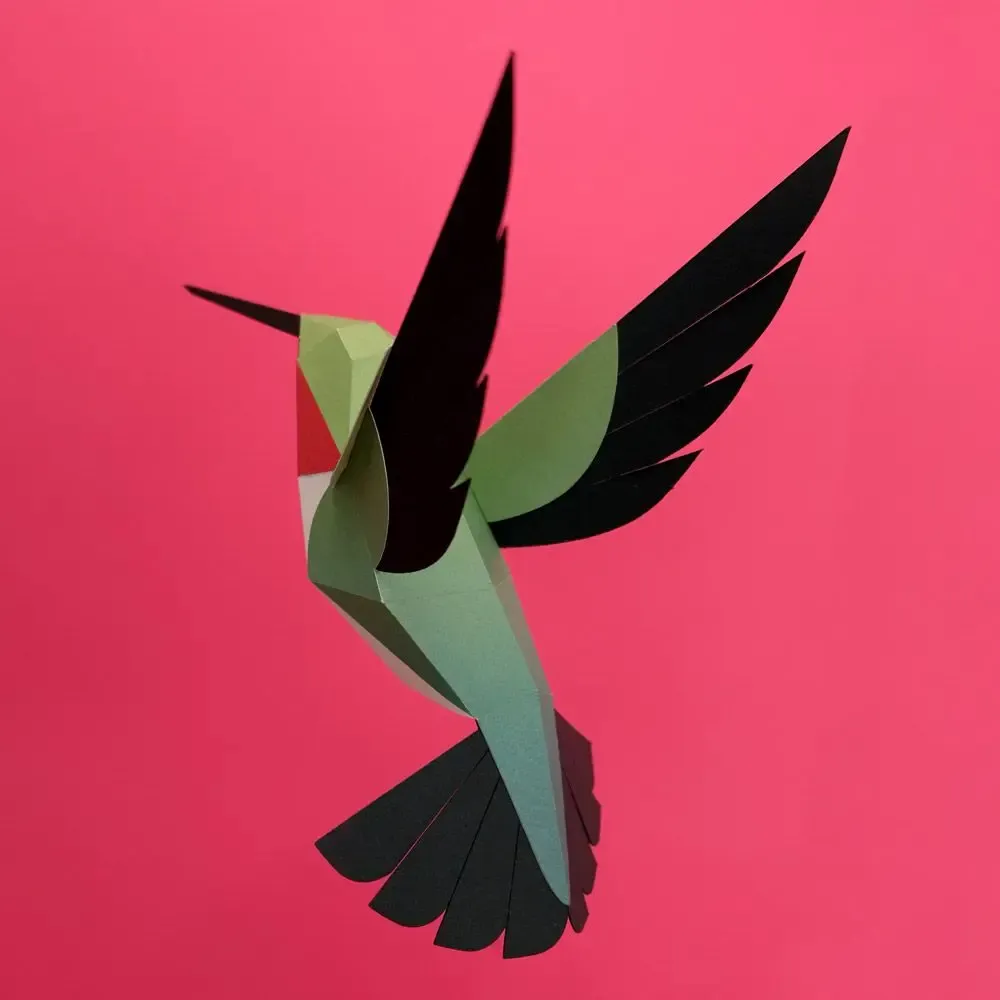 Design objects - Selasphorus Platycercus - PLEGO