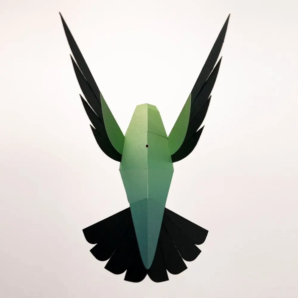 Design objects - Selasphorus Platycercus - PLEGO