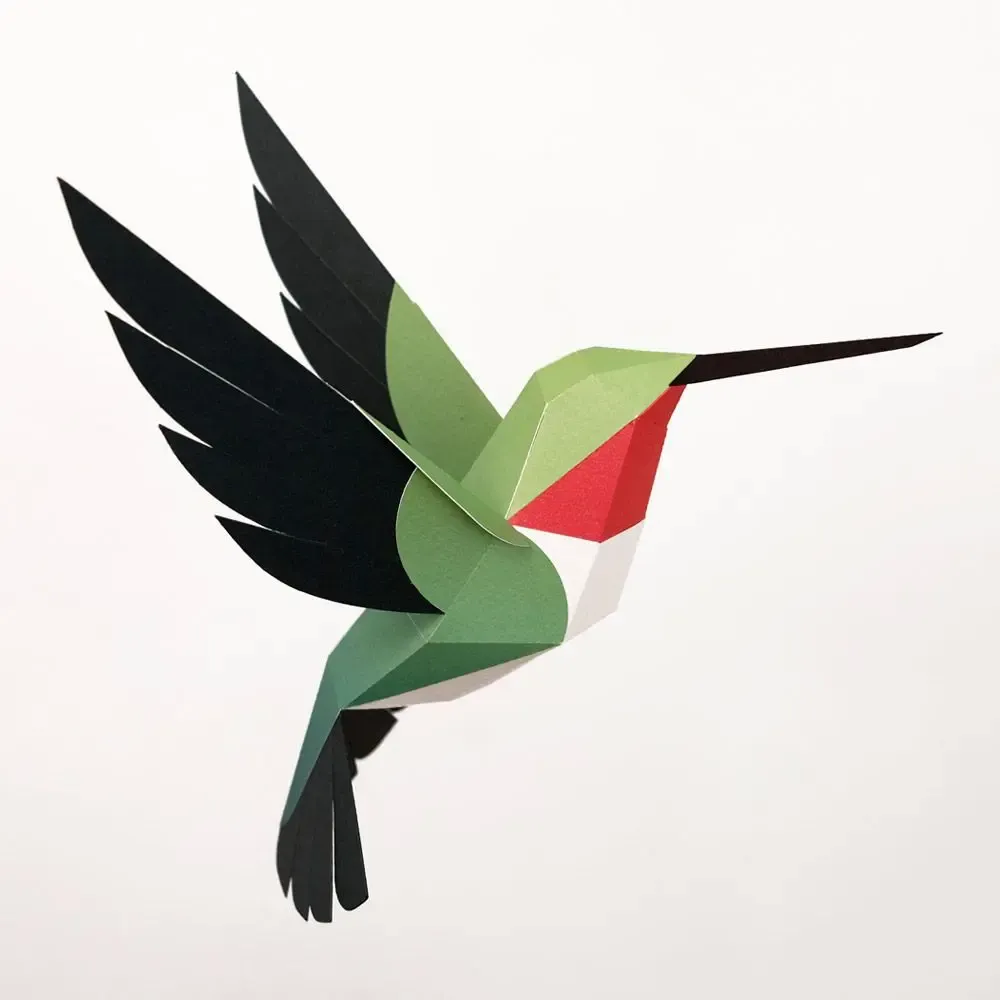 Design objects - Selasphorus Platycercus - PLEGO