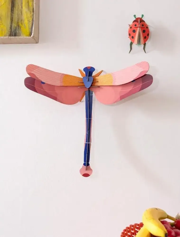 Other wall decoration - Butterflies & Beetles - STUDIO ROOF