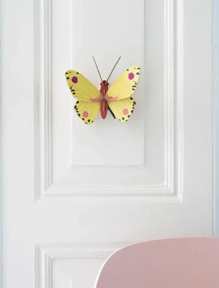 Other wall decoration - Butterflies & Beetles - STUDIO ROOF