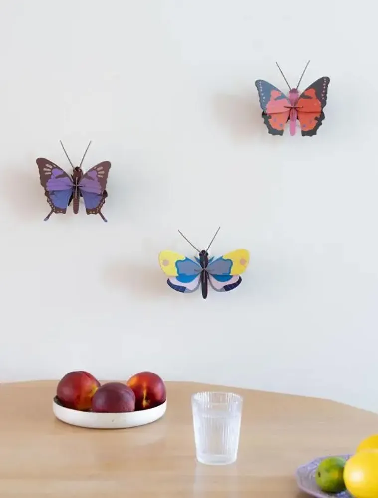 Other wall decoration - Butterflies & Beetles - STUDIO ROOF