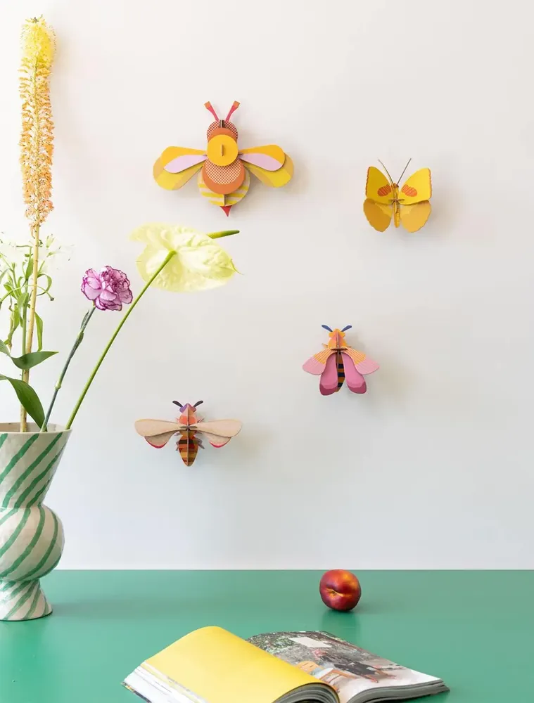 Other wall decoration - Butterflies & Beetles - STUDIO ROOF