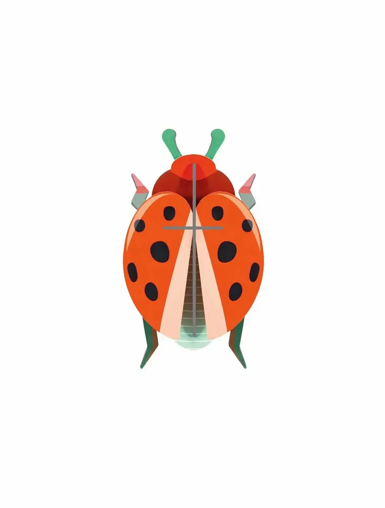 Other wall decoration - Butterflies & Beetles - STUDIO ROOF