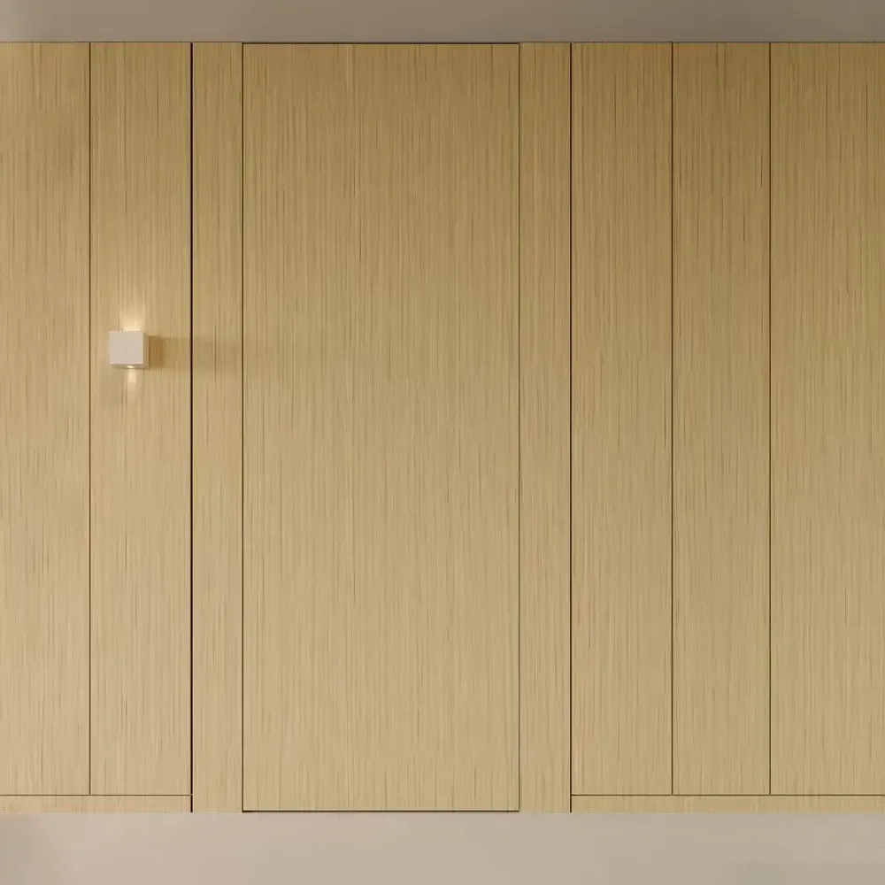 Ensembles muraux - Porte invisible - M77