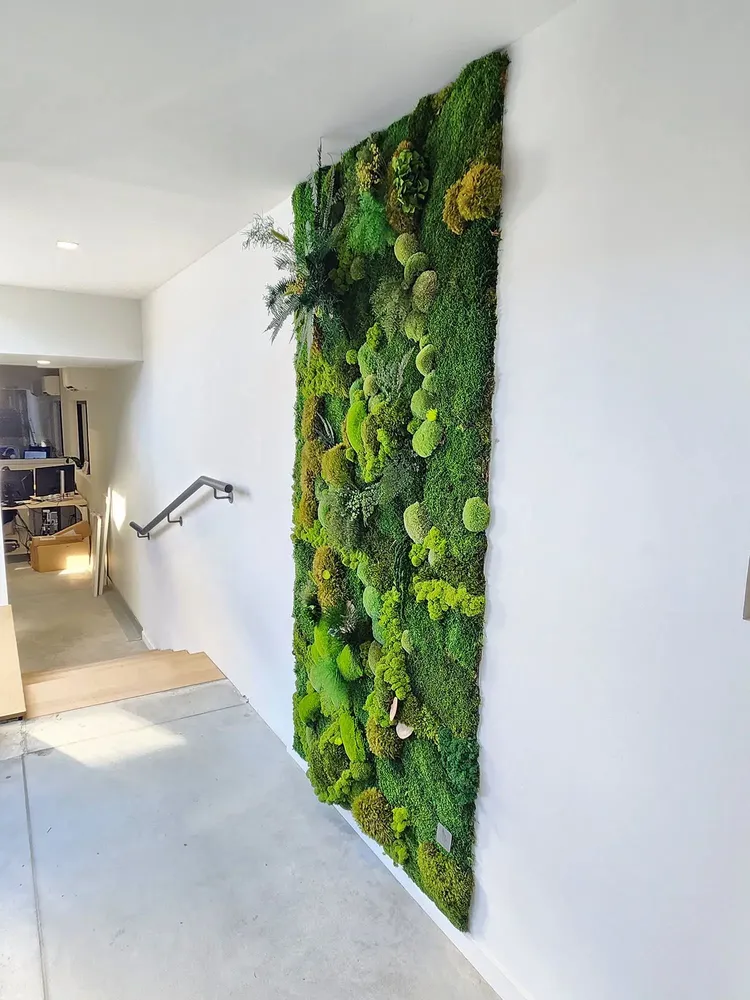 Revêtements muraux - LE MUR VEGETAL STABILISE - ATELIER ECOGREEN