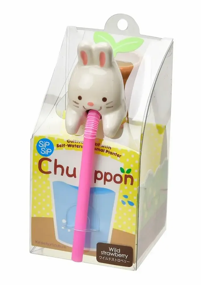 Children's decorative items - Chuppon - NOTED