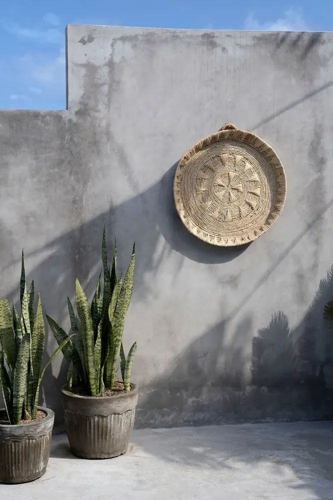Other wall decoration - The Xolo Wall Deco - Natural - L - BAZAR BIZAR LIVING