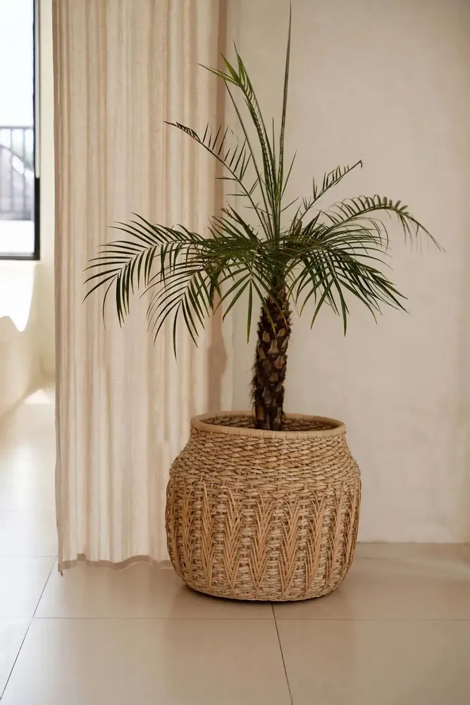 Caskets and boxes - The Luziru Basket - Natural - L - BAZAR BIZAR LIVING