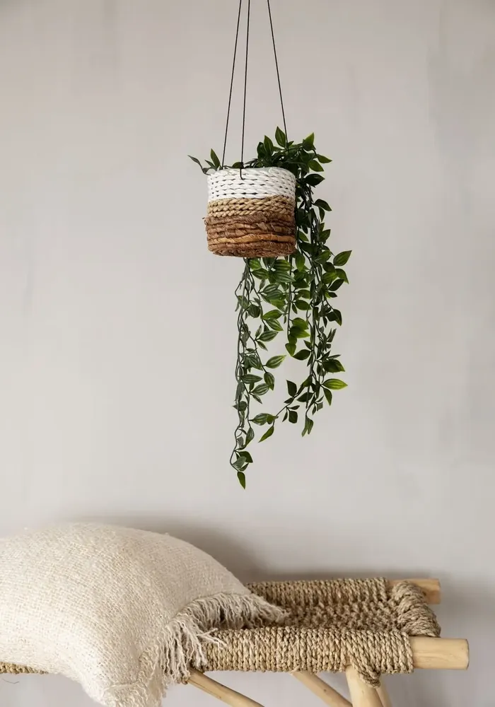 Flower pots - The Banana Plant Hanger - Natural White - S - BAZAR BIZAR LIVING