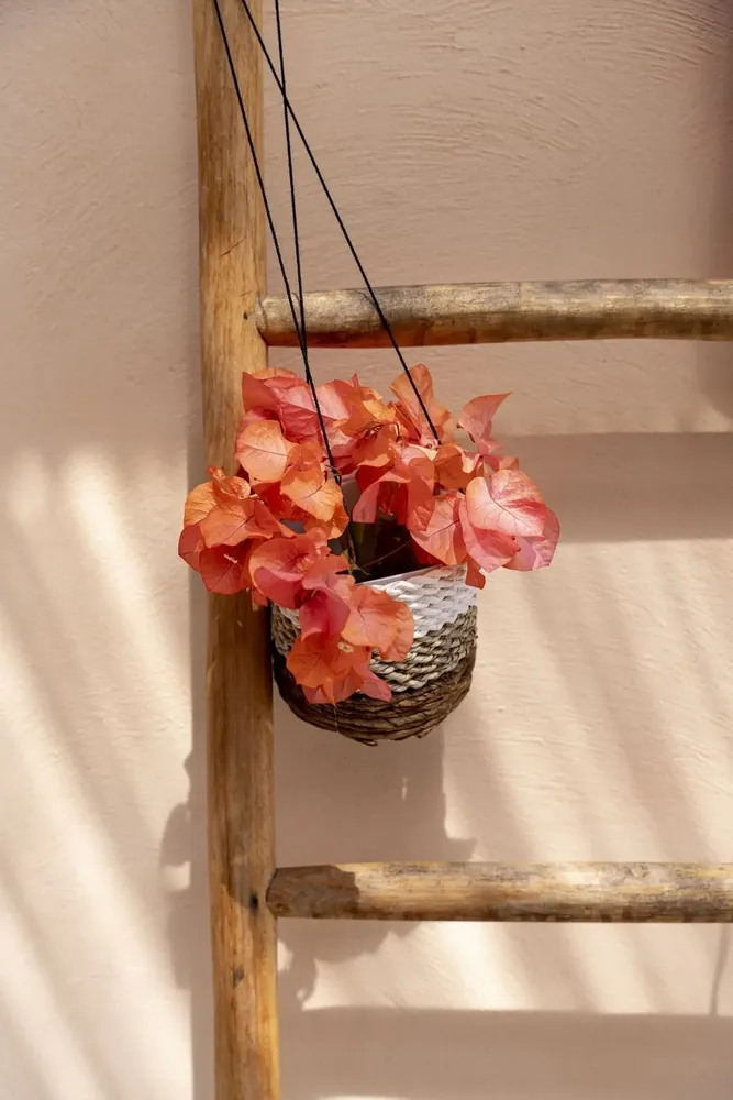 Flower pots - The Banana Plant Hanger - Natural White - S - BAZAR BIZAR LIVING