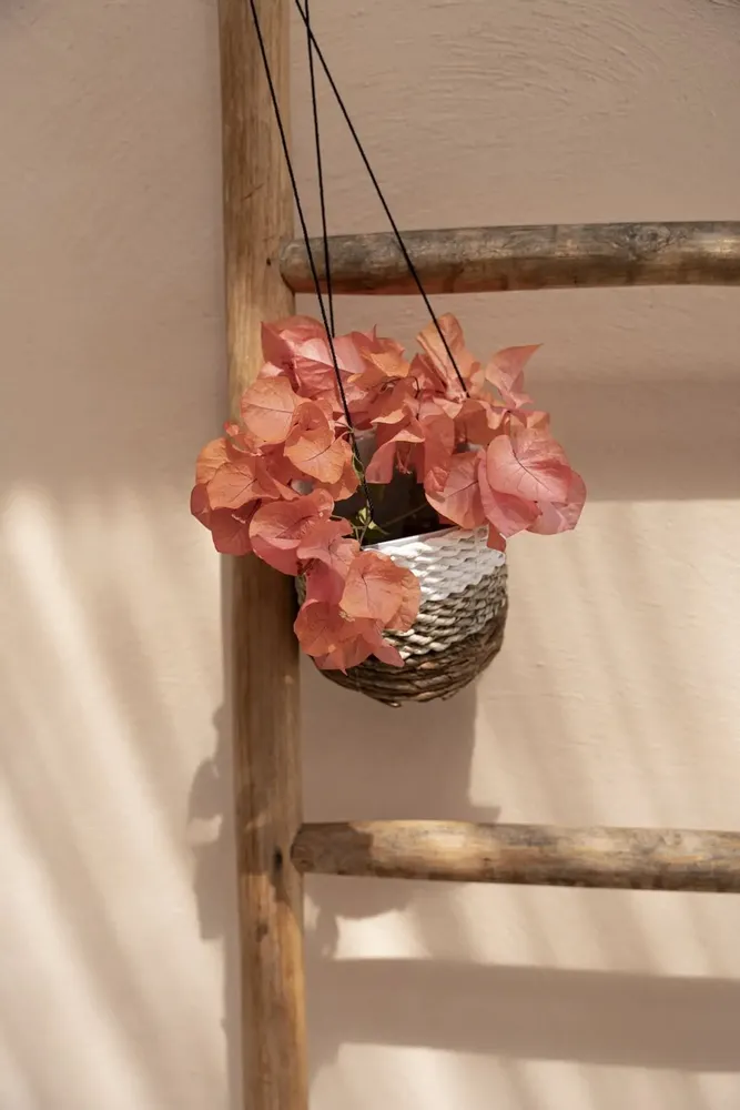 Flower pots - The Banana Plant Hanger - Natural White - S - BAZAR BIZAR LIVING