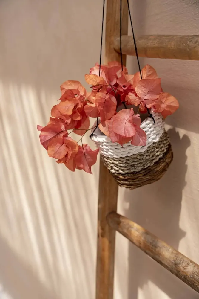 Flower pots - The Banana Plant Hanger - Natural White - S - BAZAR BIZAR LIVING