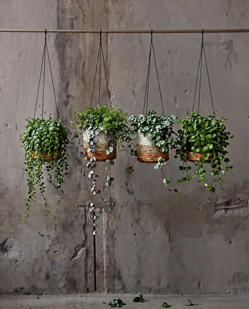 Flower pots - The Banana Plant Hanger - Natural White - S - BAZAR BIZAR LIVING