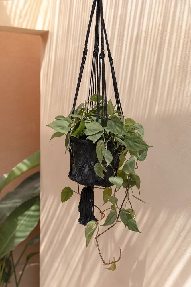 Decorative objects - The Macrame Plant Holder - Black - M - BAZAR BIZAR LIVING