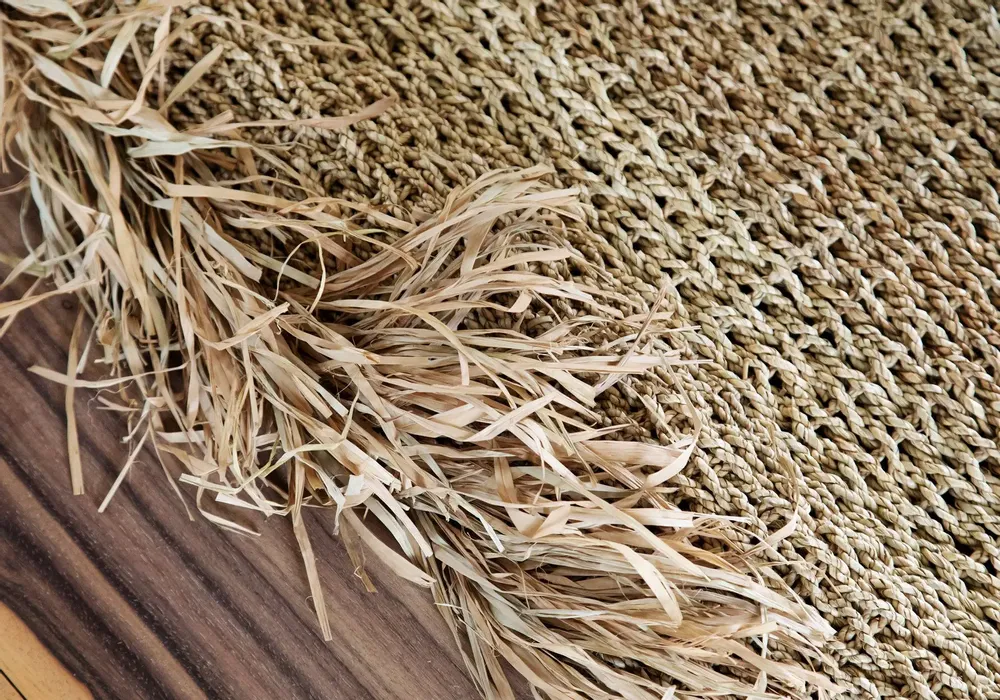 Tapis - Le Tapis Fringed - Naturel - 180x240 - BAZAR BIZAR LIVING